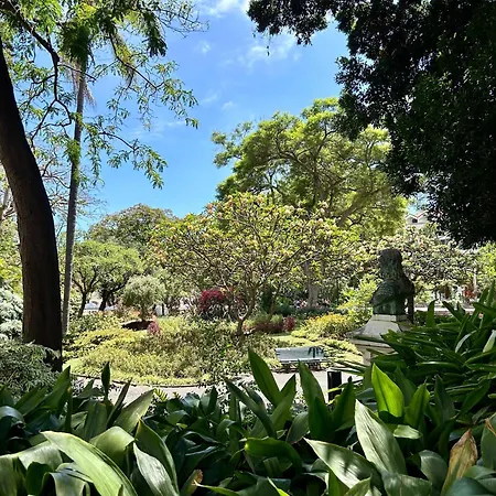 Lägenhet Minorca Funchal (Madeira)